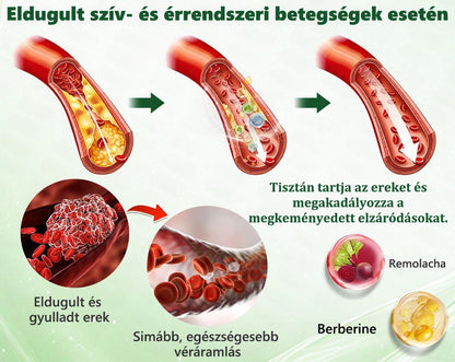 Hivatalos magyar üzlet | 👩‍⚕️🌲 PZGONE® Moringa · Berberin × NAD+ 10 az 1-ben fejlett nano-mikrotűs tapasz 🇭🇺 (Naponta csak egyszer) ✅ Elhízás, megereszkedett bőr, alacsony energiaszint, alvási apnoé, ízületi problémák és egyebek kezelésére