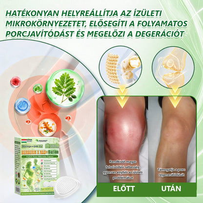 Hivatalos magyar üzlet | 👩‍⚕️🌲 PZGONE® Moringa · Berberin × NAD+ 10 az 1-ben fejlett nano-mikrotűs tapasz 🇭🇺 (Naponta csak egyszer) ✅ Elhízás, megereszkedett bőr, alacsony energiaszint, alvási apnoé, ízületi problémák és egyebek kezelésére