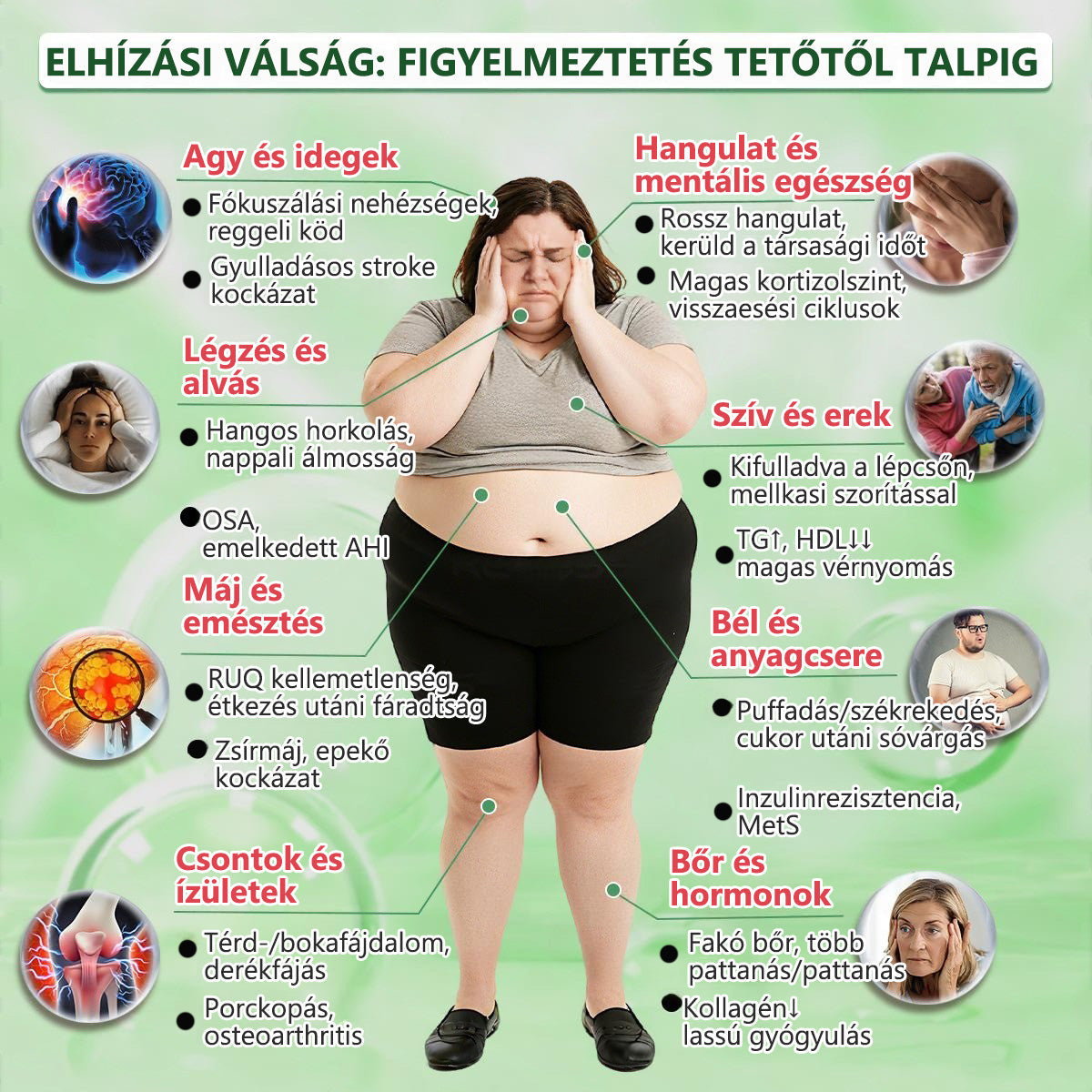 Hivatalos magyar üzlet | 👩‍⚕️🌲 PZGONE® Moringa · Berberin × NAD+ 10 az 1-ben fejlett nano-mikrotűs tapasz 🇭🇺 (Naponta csak egyszer) ✅ Elhízás, megereszkedett bőr, alacsony energiaszint, alvási apnoé, ízületi problémák és egyebek kezelésére