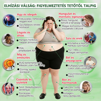 Hivatalos magyar üzlet | 👩‍⚕️🌲 PZGONE® Moringa · Berberin × NAD+ 10 az 1-ben fejlett nano-mikrotűs tapasz 🇭🇺 (Naponta csak egyszer) ✅ Elhízás, megereszkedett bőr, alacsony energiaszint, alvási apnoé, ízületi problémák és egyebek kezelésére