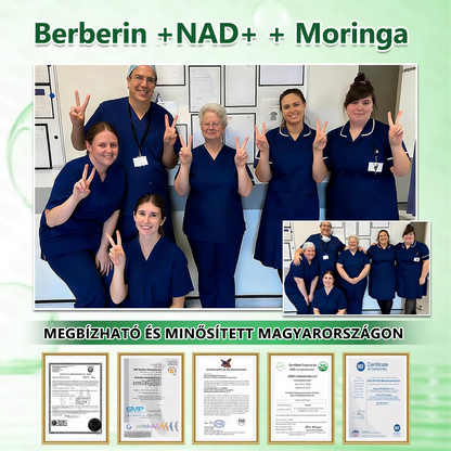 Hivatalos magyar üzlet | 👩‍⚕️🌲 PZGONE® Moringa · Berberin × NAD+ 10 az 1-ben fejlett nano-mikrotűs tapasz 🇭🇺 (Naponta csak egyszer) ✅ Elhízás, megereszkedett bőr, alacsony energiaszint, alvási apnoé, ízületi problémák és egyebek kezelésére