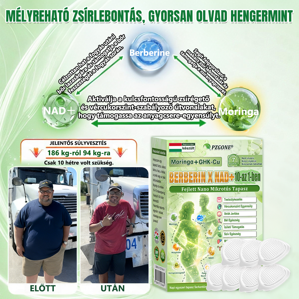 Hivatalos magyar üzlet | 👩‍⚕️🌲 PZGONE® Moringa · Berberin × NAD+ 10 az 1-ben fejlett nano-mikrotűs tapasz 🇭🇺 (Naponta csak egyszer) ✅ Elhízás, megereszkedett bőr, alacsony energiaszint, alvási apnoé, ízületi problémák és egyebek kezelésére