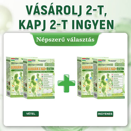 Hivatalos magyar üzlet | 👩‍⚕️🌲 PZGONE® Moringa · Berberin × NAD+ 10 az 1-ben fejlett nano-mikrotűs tapasz 🇭🇺 (Naponta csak egyszer) ✅ Elhízás, megereszkedett bőr, alacsony energiaszint, alvási apnoé, ízületi problémák és egyebek kezelésére