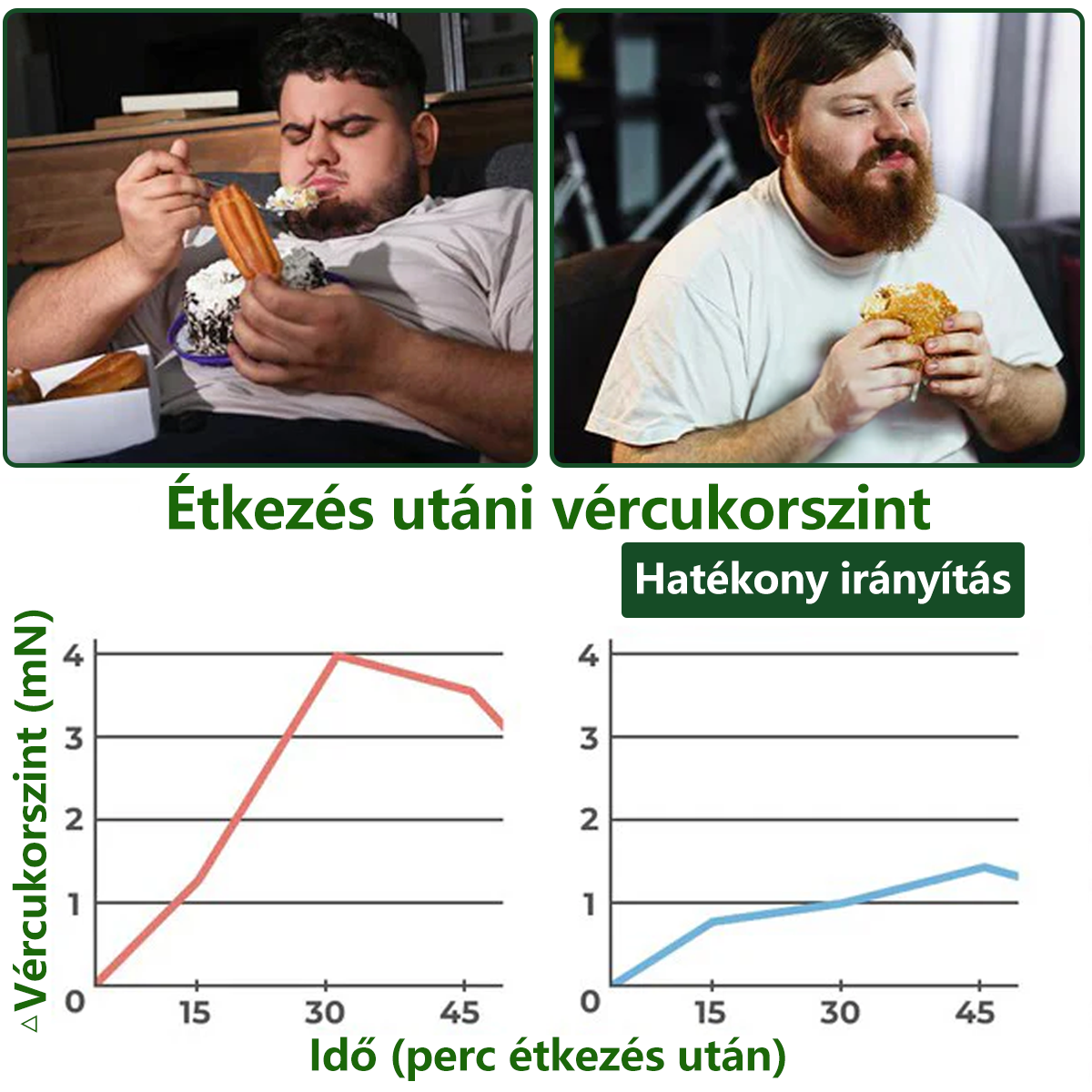 Hivatalos magyar üzlet | 👩‍⚕️🌲 PZGONE® Moringa · Berberin × NAD+ 10 az 1-ben fejlett nano-mikrotűs tapasz 🇭🇺 (Naponta csak egyszer) ✅ Elhízás, megereszkedett bőr, alacsony energiaszint, alvási apnoé, ízületi problémák és egyebek kezelésére