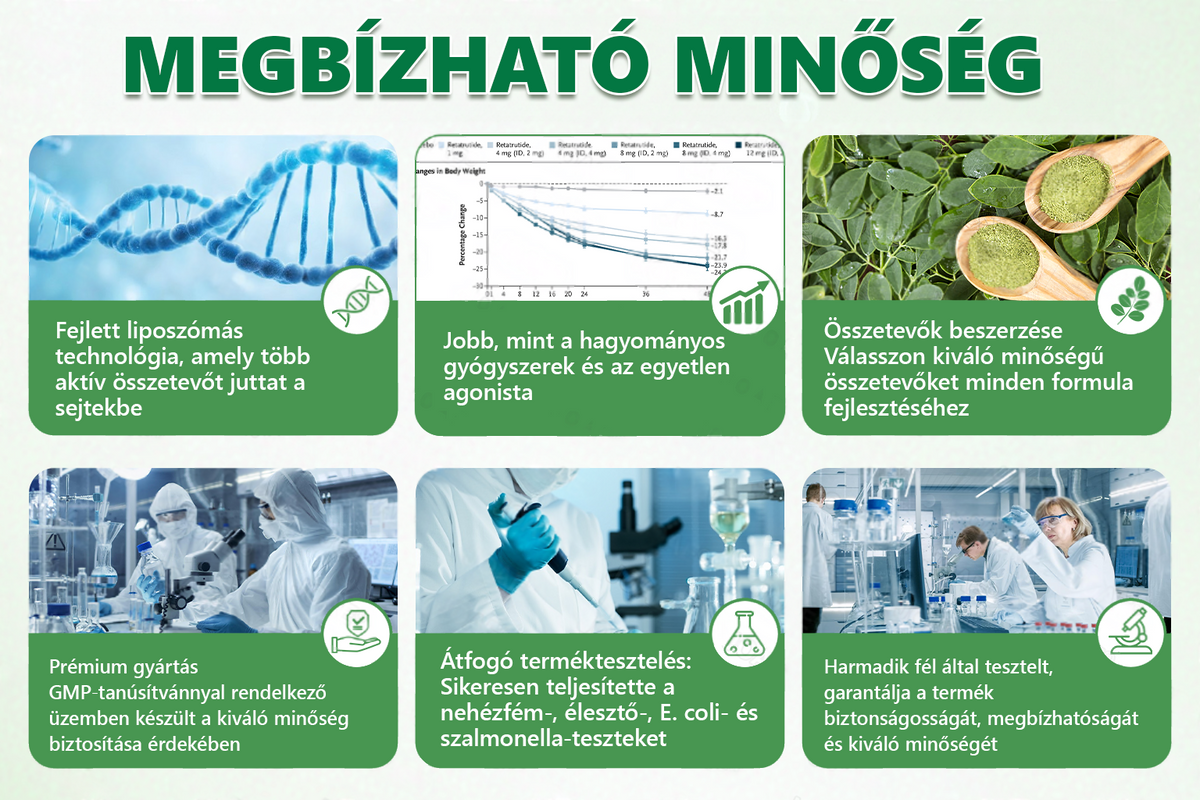 Hivatalos magyar üzlet | 👩‍⚕️🌲 PZGONE® Moringa · Berberin × NAD+ 10 az 1-ben fejlett nano-mikrotűs tapasz 🇭🇺 (Naponta csak egyszer) ✅ Elhízás, megereszkedett bőr, alacsony energiaszint, alvási apnoé, ízületi problémák és egyebek kezelésére
