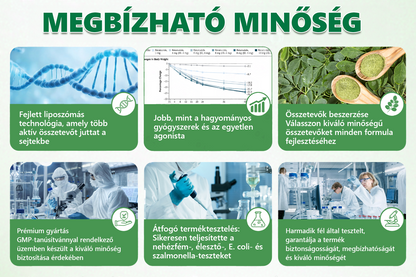 Hivatalos magyar üzlet | 👩‍⚕️🌲 PZGONE® Moringa · Berberin × NAD+ 10 az 1-ben fejlett nano-mikrotűs tapasz 🇭🇺 (Naponta csak egyszer) ✅ Elhízás, megereszkedett bőr, alacsony energiaszint, alvási apnoé, ízületi problémák és egyebek kezelésére
